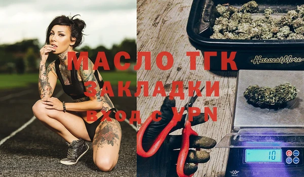 индика Переславль-Залесский