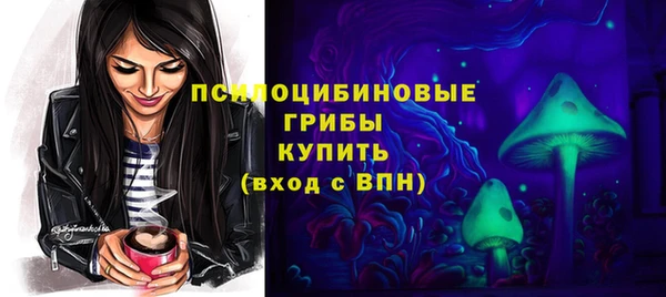 амф Алексеевка